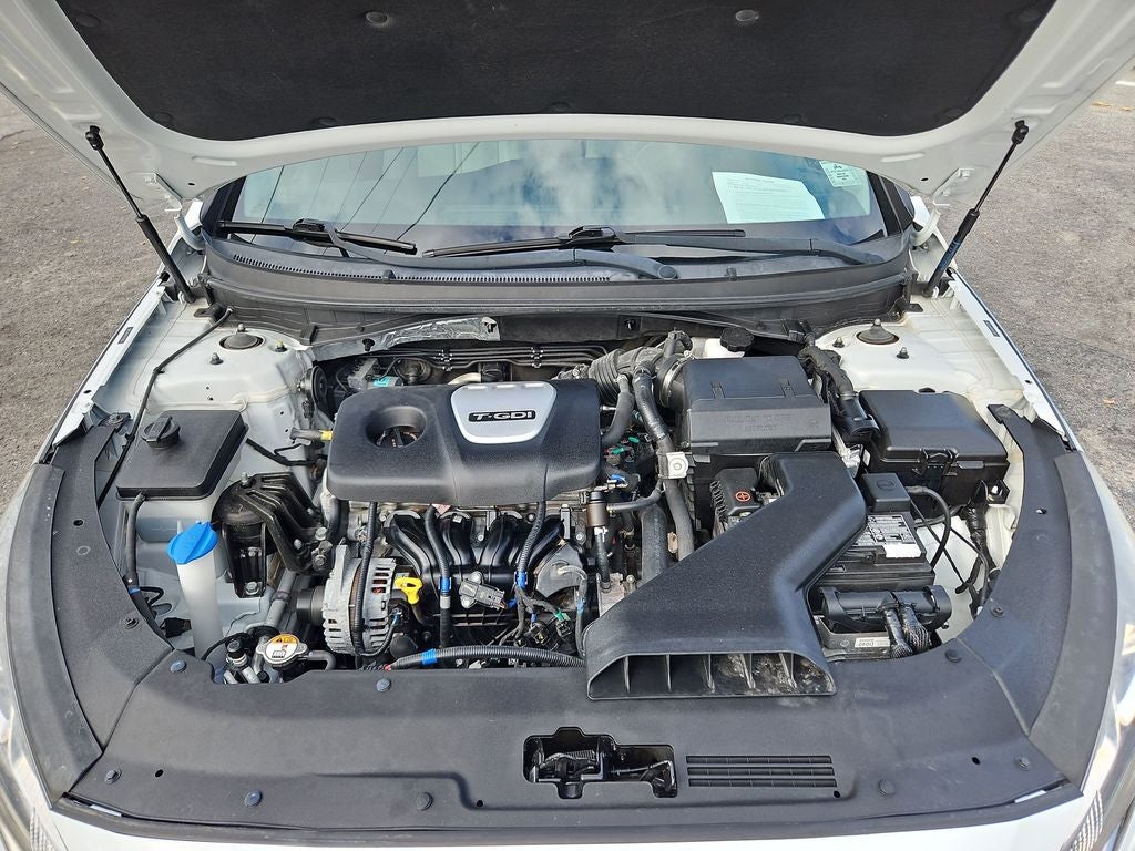 2019 Hyundai Sonata ECO