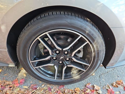 2022 Ford Mustang EcoBoost