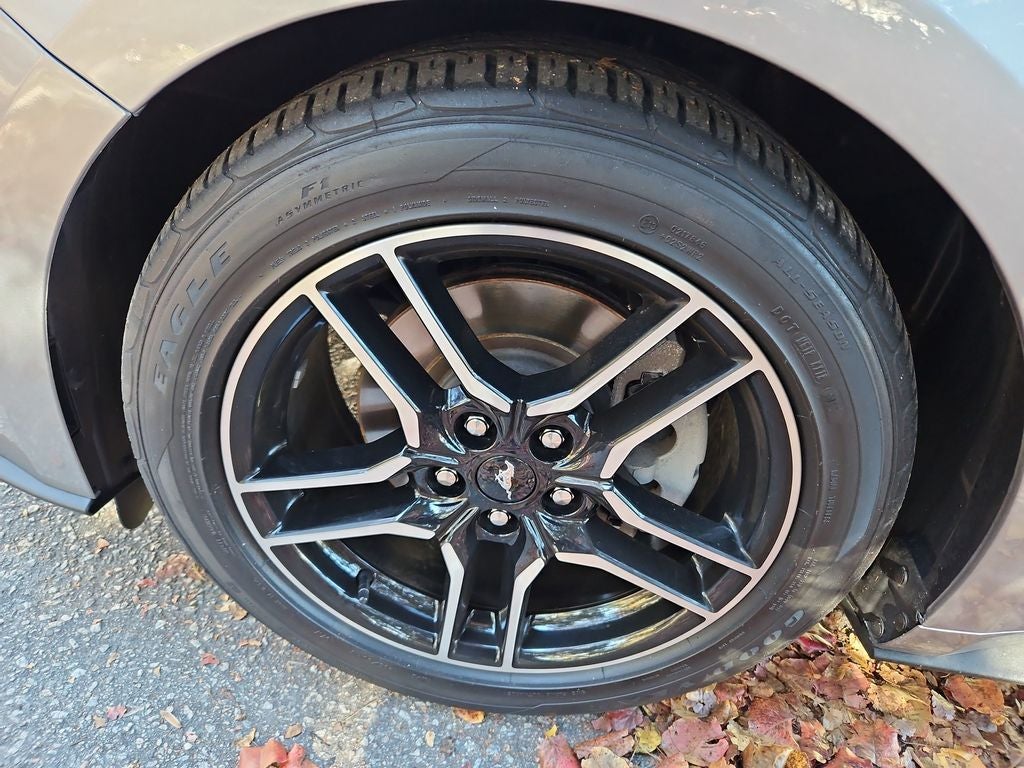 2022 Ford Mustang EcoBoost